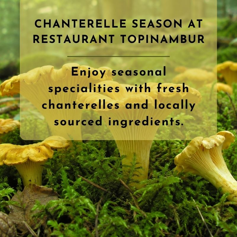 Chanterelle Dishes at Restaurant Topinambur