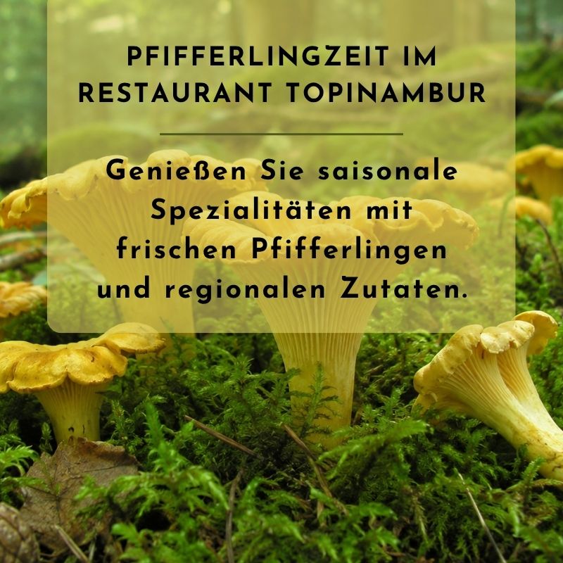 Pfifferlinggerichte im Restaurant Topinambur